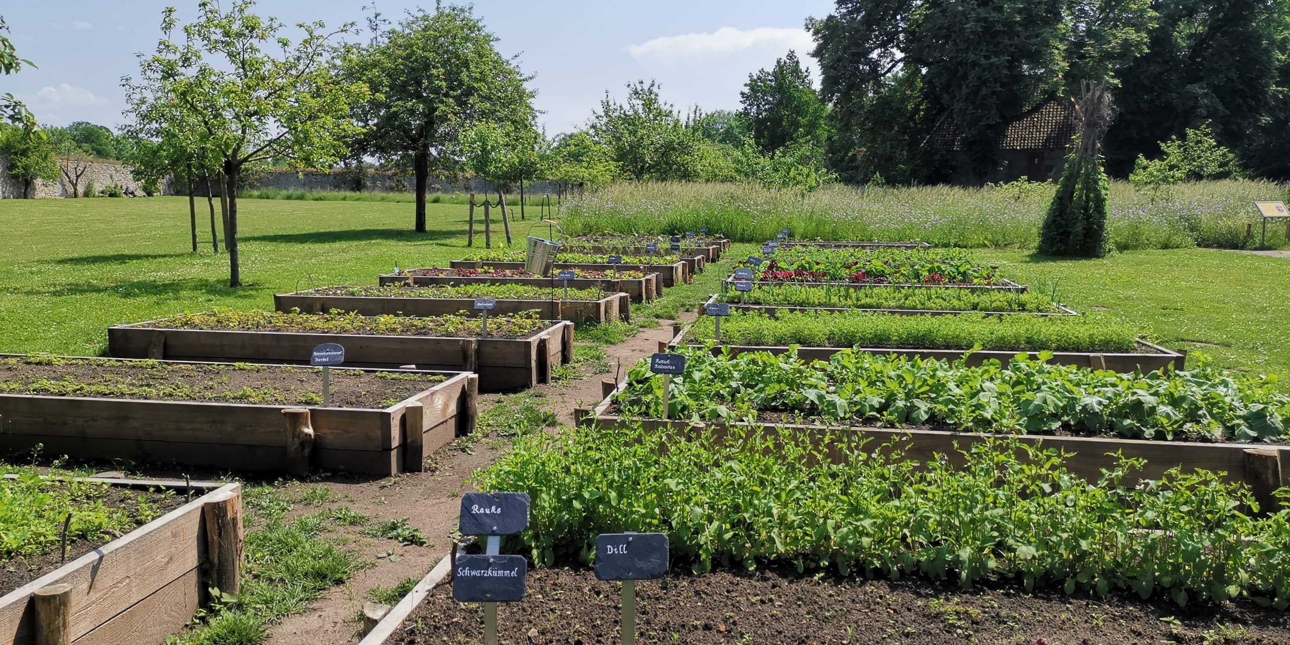 Führung durch den Klostergarten